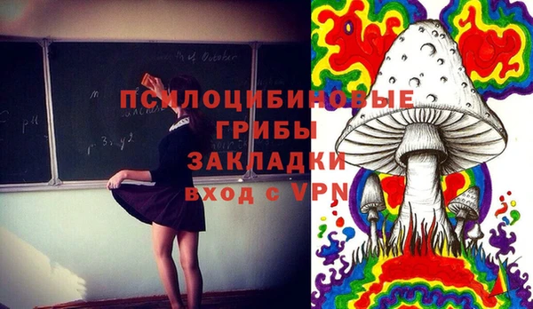 стафф Арсеньев