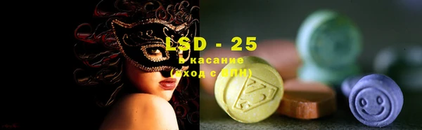 стаф Баксан