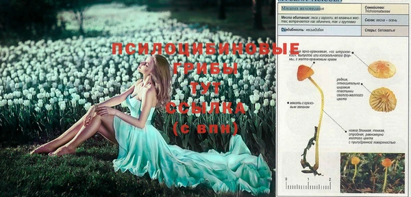 а пвп мука Балахна