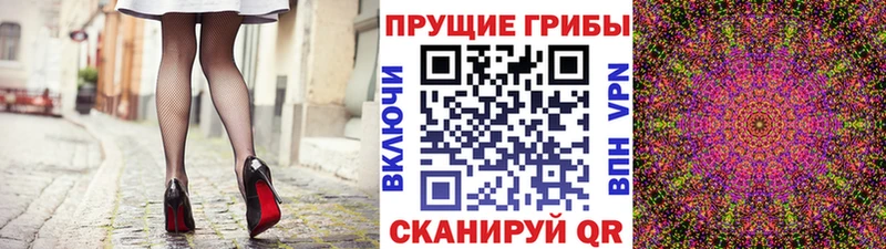 купить наркоту  Северо-Курильск  Псилоцибиновые грибы MAGIC MUSHROOMS 